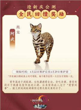 复古版天龙八部私服